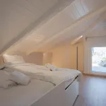 Apartment Mini