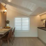Apartment Mini *